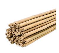 PLANTAWA Tuteur Bamboo 60 Cm Pack 25 Units Ø 6-8 Mm | Tuteurs pour Plantes de Tomates, de Légumes et d'Arbres | Piquets pour Plantes de Différentes Tailles. Tiges De Bambou Résistantes