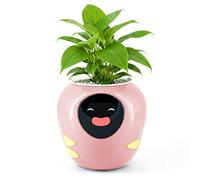 Plantbot Grand pot de fleurs intelligent amélioré pour animaux de compagnie, avec intelligence artificielle, affichage de la température du temps et base d'animations expressives, pour décoration