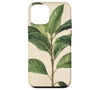 Plante à Caoutchouc Vintage Illustration Scientifique Plante Coque pour iPhone 12 Mini