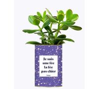 Plante à Message - Je suis Une fée la fée Pas Chier