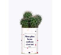 Plante à Message - Mon Plus Beau Cadeau C'est toi - Plante d'intérieur
