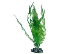PLANTE APONOGETON 25 cm HOBBY----------------- 51578
