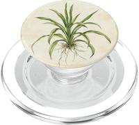 Plante araignée Vintage Illustration Scientifique Plante PopSockets PopGrip pour MagSafe