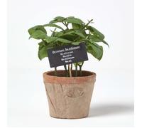 Plante aromatique artificielle en pot, Basilic