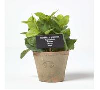HOMESCAPES Plante Verte Artificielle en Pot Menthe, Herbe aromatique Artificielle