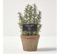 Plante aromatique artificielle en pot, Thym