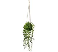 Atmosphera – Plante artificielle à suspendre Living – 62 cm – Pot en ciment – Vert