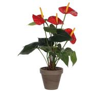 Plante Artificielle Agapanthe dans un pot de fleurs Stan - H38 x Ø30 cm - Rouge - Mica Decorations