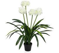 Plante artificielle AGAPANTHUS vert - blanc