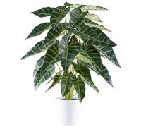 Plante artificielle Alocasia 68 cm dans un pot moderne en mélamine blanche - à s'y méprendre et facile d'entretien