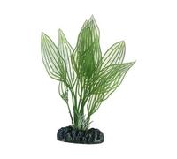 PLANTE APONOGETON 16 cm HOBBY-----