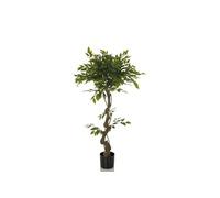 FICUS I - Plante artificielle Vert