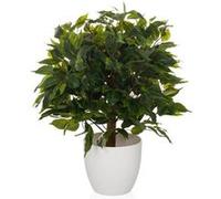 HJH Office Plante artificielle FICUS II 65 cm – figuier de barbarie, facile à entretenir
