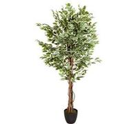Plante artificielle / Arbre artificiel FICUS Plastique Vert