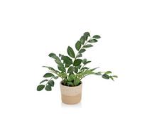 hjh OFFICE Plante Artificielle ZAMIE Hauteur 50 cm Vert Déco Zamioculcas Plante d'intérieur Plume Porte-Bonheur Artificielle, 871008