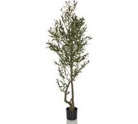 Plante artificielle / arbre artificiel OLIVIE I 172 cm vert hjh OFFICE Vert G