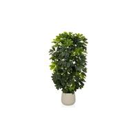 Schefflera 2 - Plante artificielle Vert/Blanc
