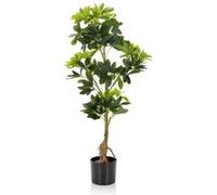 Plante artificielle / Arbre artificiel SCHEFFLERA Plastique Vert hjh OFFICE Vert G