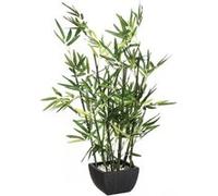 Plante artificielle - Bambou - H 70 cm Multicolore G