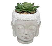 Plante artificielle Bouddha pot ciment H13,5cm - Atmosphera Créateur d'intérieur