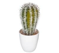 Plante Artificielle Cactus en Pot H 18 cm - Atmosphera