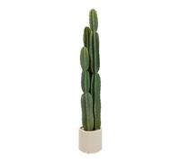Plante artificielle cactus Sien H132cm - Atmosphera Créateur d'intérieur