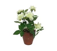 Plante artificielle - CHEMIN DE CAMPAGNE - Rosier blanc - Ø.7 cm - Ht.12 cm - Décoration intérieure