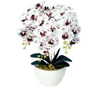 Plante artificielle Damich 3pgk orchidée artificielle en pot de fleur fleur artificielle décoration plante fleur hauteur environ 60cm