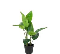 Plante Artificielle de l'arbre du Voyageur avec 2 Troncs et 10 Feuilles en PVC Vert 70 x 20 x 20 cm