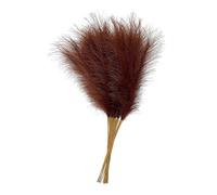 Plante Artificielle d'herbe de la Pampa Artificiel 55 cm Multicolore 10 pcs(Deep Coffee Color)