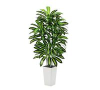 Plante Artificielle Dracaena Intérieur 150cm Arbre Artificiel Dracaena Faux Arbre en Soie avec Jardinière Blanche Faux Tropical Yucca Floor Plant pour Bureau à Domicile Décorati (1, Blanc, 150cm)