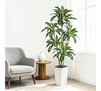 Plante Artificielle Dracaena Intérieur 180cm Arbre Artificiel Dracaena Faux Arbre en Soie avec Jardinière Blanche Faux Tropical Yucca Floor Plant pour Bureau à Domicile Décorati (1, Blanc, 180CM)