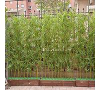 Plante Artificielle en Bambou pour Sol, Arbre en Bambou Artificiel pour extérieur, résistant aux UV, pour Patio, Porche, Jardin, Mur végétal réaliste, écran de Lierre avec boîte rectangulair