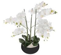 Plante artificielle en ciment, pierre et polyéthylène - Dim : D.25 x H.65 cm -PEGANE-