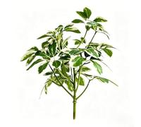 Plante artificielle en forme de feuille à sept pointes pour toile de fond créative et intégration verte spatiale (bordure blanche)