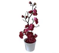 Plante artificielle en pot de prunier de 28 cm pour une utilisation en intérieur avec étagère de bureau, cheminée ou buffet avec silhouette élégante (magenta)