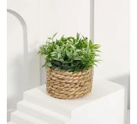 Plante artificielle en pot vert l Eucalyptus herbe plante décorative - 11 cm fleur artificielle comme décoration de table moderne pour la maison, le bureau & l'étagère