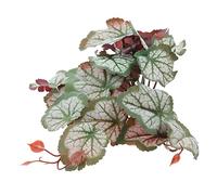 Plante Artificielle en Résine, Cachette Décorative pour Terrarium | Installation Facile, Adaptée aux Reptiles et Poissons, pour Vivarium ou Aquarium, Aspect Végétal, Plastique