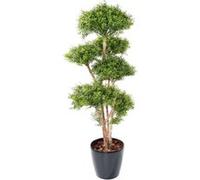 Plante Artificielle / Eucalyptus Artificiel de 6 têtes coloris vert - Dim : 160 x 70 cm -PEGANE- Vert G