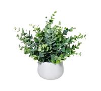 Plante Artificielle Eucalyptus en Pot Blanc Design, Déco Bureau Scandinave | 5 Couleurs, Pot Circulaire Design, Sans Entretien, Déco Automne & Halloween, Prêt à l'Emploi, Cadeau Maison.