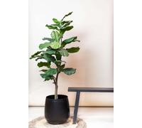 Plante artificielle - Ficus Lyrata - Plante de tabac - 120 cm