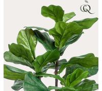 Plante artificielle - Ficus Lyrata - Plante de tabac - 90 cm