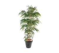 Plante artificielle haute gamme Spécial extérieur / Bambou artificiel coloris vert - Dim : 150 x 90 cm