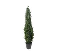 Plante artificielle haute gamme Spécial extérieur / Cyprès Artificiel Mini Vert - Dim : 210 x 50 cm