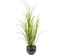 Plante artificielle haute gamme Spécial extérieur / Herbe artificielle - Dim : 100 x 45 cm -PEGANE- G