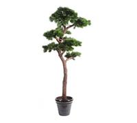 Plante artificielle haute gamme Spécial extérieur / PIN artificiel BONSAI UV - Dim : 220 x 120 cm