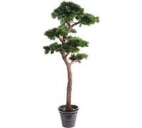 Plante artificielle haute gamme Spécial extérieur / PIN artificiel BONSAI UV - Dim : 220 x 120 cm --