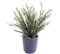 Plante artificielle haute gamme Spécial extérieur / Podocarpus artificiel - Dim : 45 x 30 cm -PEGANE- G