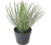Plante artificielle haute gamme Spécial extérieur / YUCCA Artificiel - Dim : 40 x 30 cm -PEGANE- G
