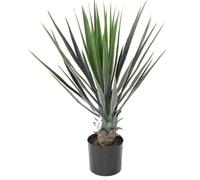 Plante artificielle haute gamme Spécial extérieur - YUCCA Artificiel - Dim : 60 x 40 cm -PEGANE